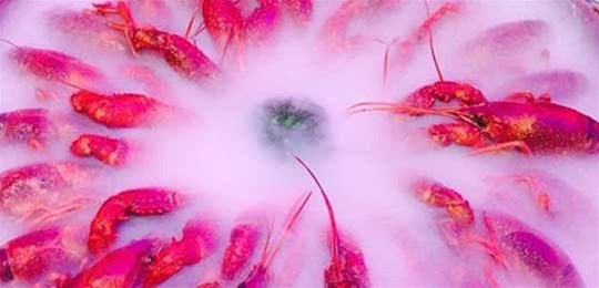 如何選擇山西高純氣體管道配管及附件材料？